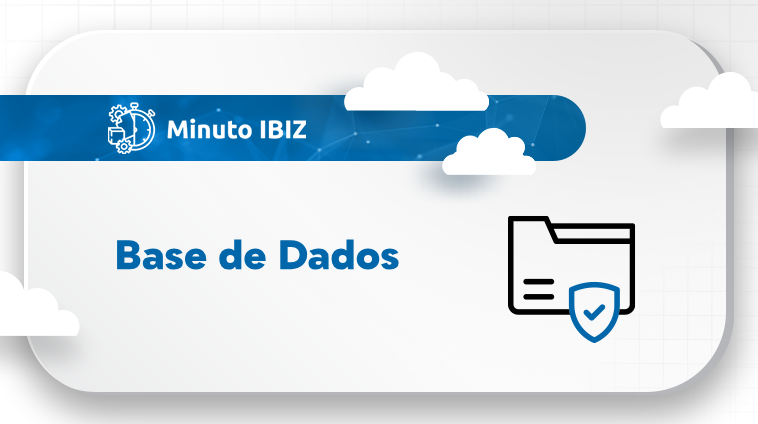 Acesso Integral à Base de Dados Histórica IBIZ